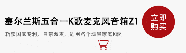 K歌+电源+收音机+支架5合1只要100多！凯发国际牛！中国制造强到如此可怕了！音箱+(图12)